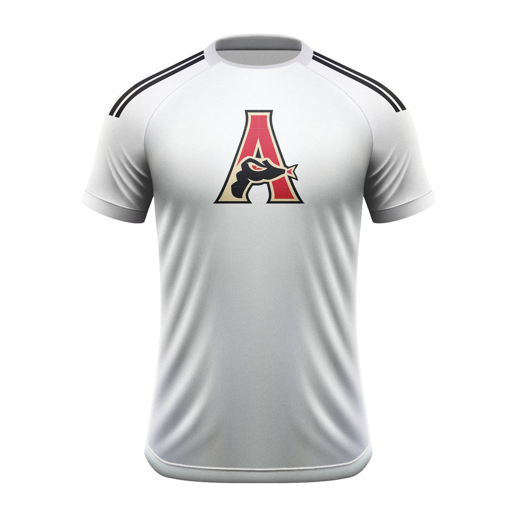 Arizona Team Baseball