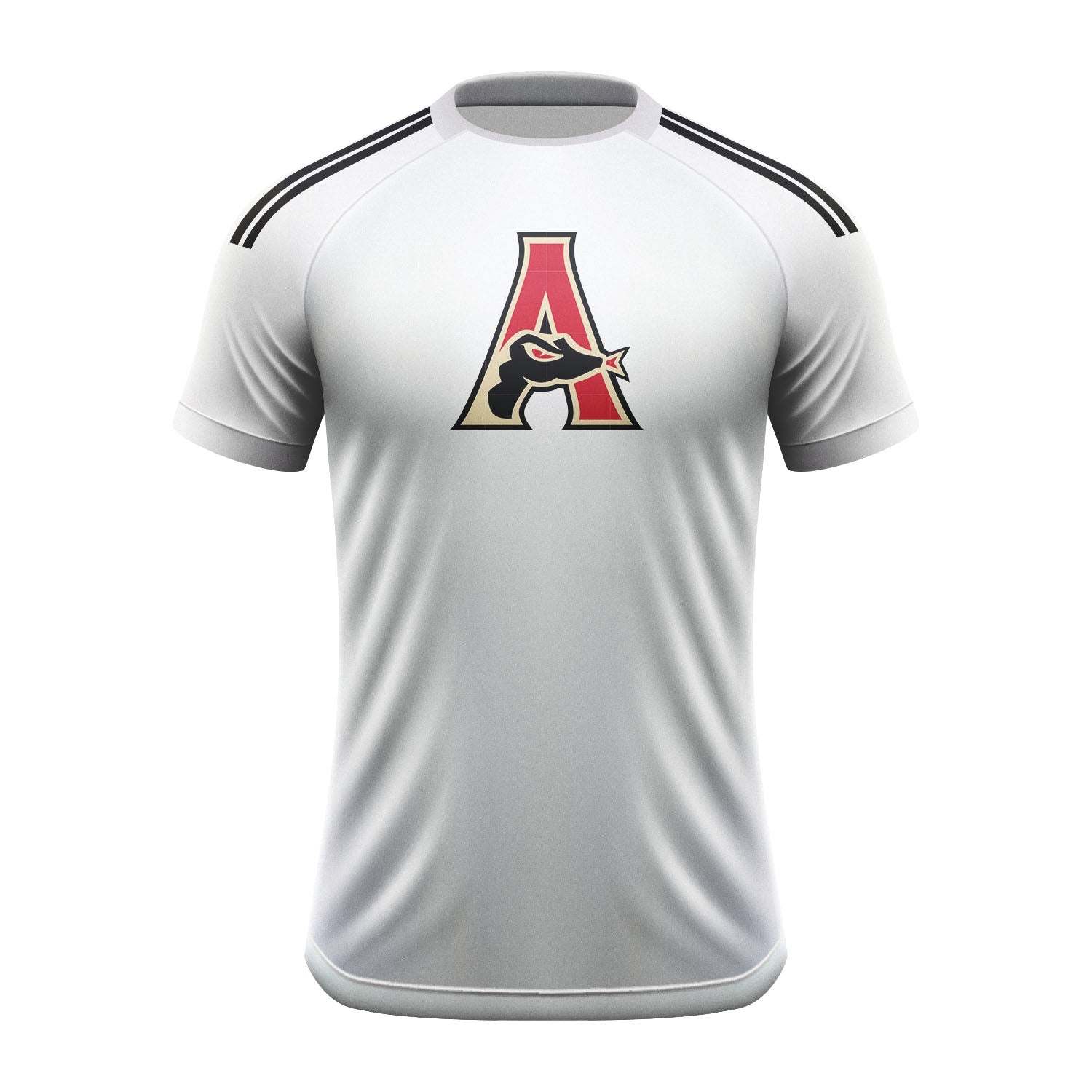 Arizona Team Baseball